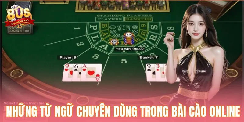 Khám Phá Cách Chơi Bài Cào Dễ Hiểu Cho Người Mới Bắt Đầu Những từ ngữ chuyên dùng trong bài cào online