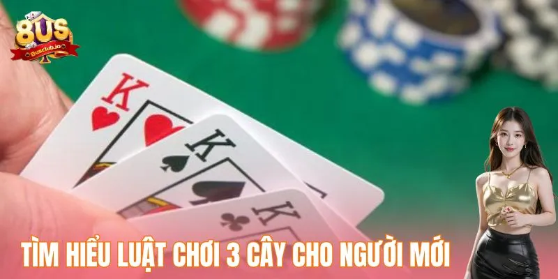 Cách Chơi 3 Cây Đơn Giản Dễ Hiểu Cho Người Mới Bắt Đầu Tìm hiểu luật chơi 3 cây cho người mới