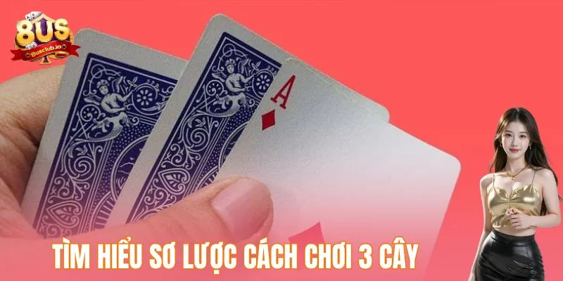Cách Chơi 3 Cây Đơn Giản Dễ Hiểu Cho Người Mới Bắt Đầu Tìm hiểu sơ lược cách chơi 3 cây